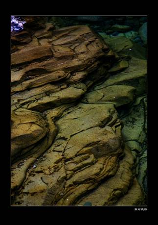 ��Դ����