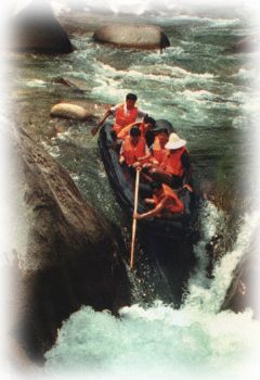 ���Ĵ�Ͽ��Ư��