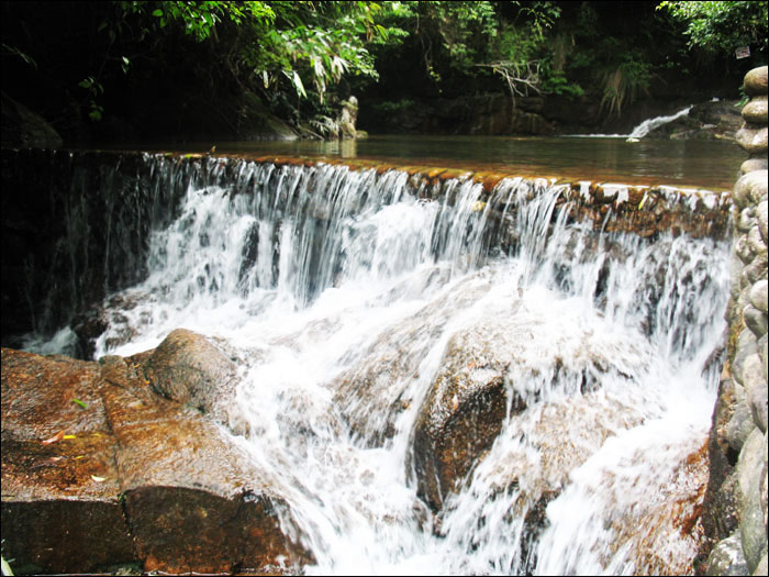 ������Ͽ��