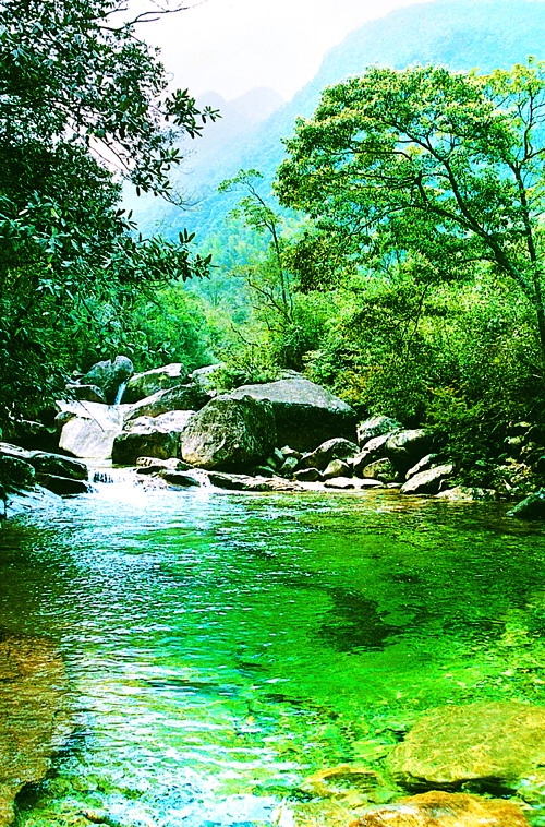 ����ɽ����ɭ�ֹ�԰