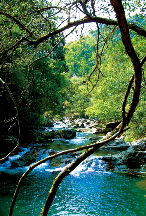 ����ɽ����ɭ�ֹ�԰