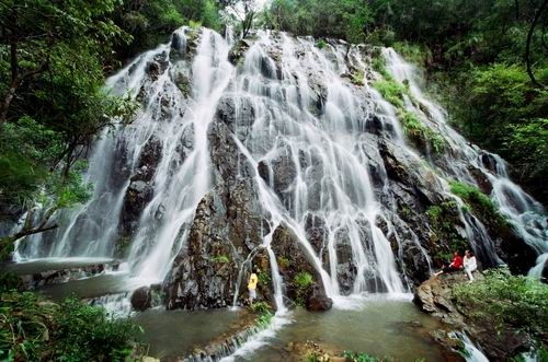 �����Ⱦ���