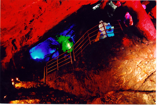 �����Ⱦ���