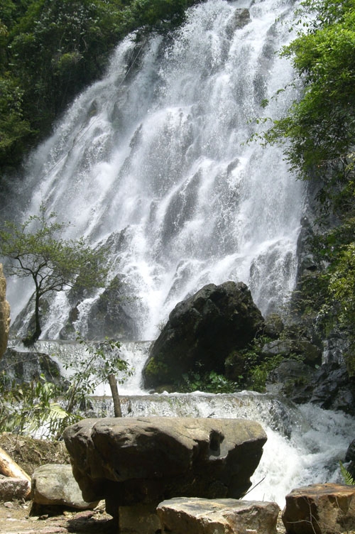 �����Ⱦ���