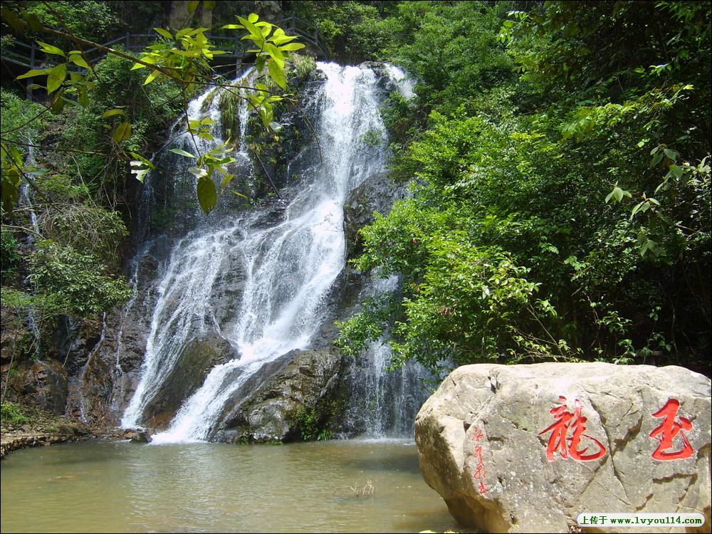 �����Ⱦ���