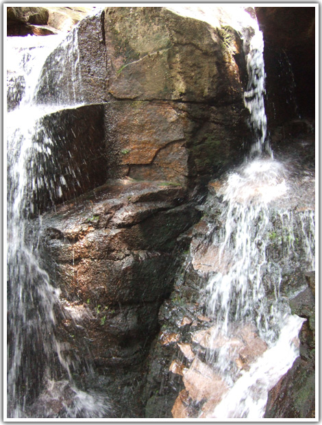 ʮ��կ�Ⱦ���